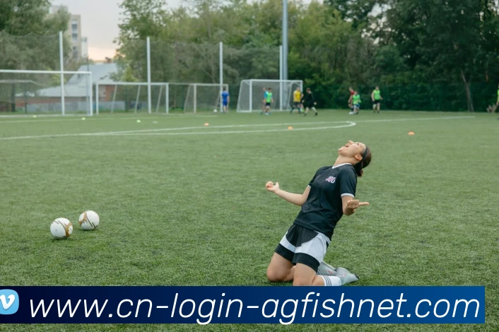 多媒体互动体验