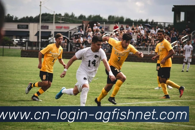 AG捕鱼王官网APP 高清赛事图